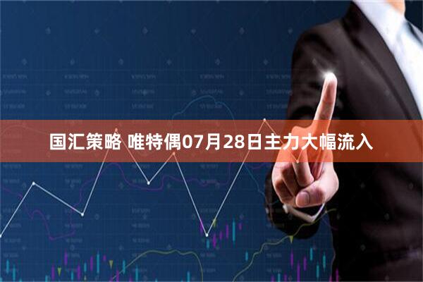 国汇策略 唯特偶07月28日主力大幅流入